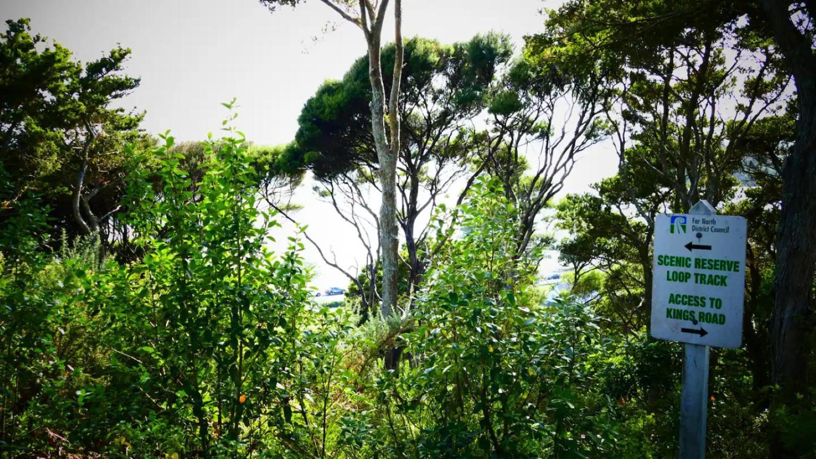 Lighthouse * Paihia
